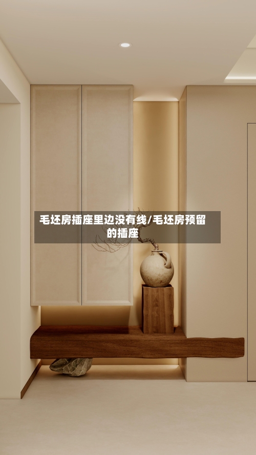 毛坯房插座里边没有线/毛坯房预留的插座