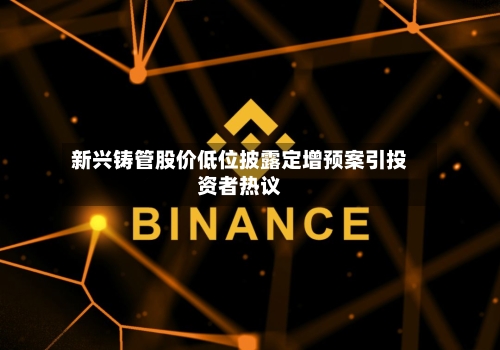 新兴铸管股价低位披露定增预案引投资者热议