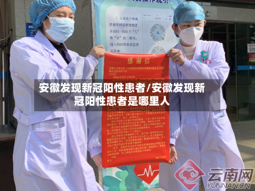 安徽发现新冠阳性患者/安徽发现新冠阳性患者是哪里人-第2张图片