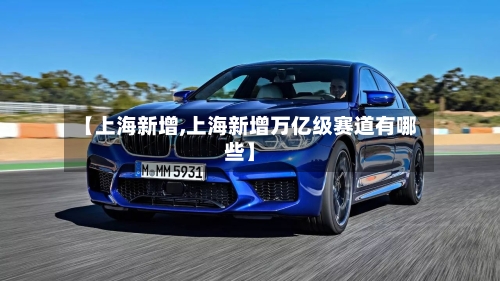 【上海新增,上海新增万亿级赛道有哪些】