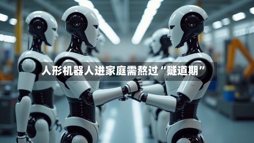 人形机器人进家庭需熬过“隧道期	”-第2张图片