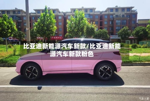 比亚迪新能源汽车新款/比亚迪新能源汽车新款粉色-第3张图片