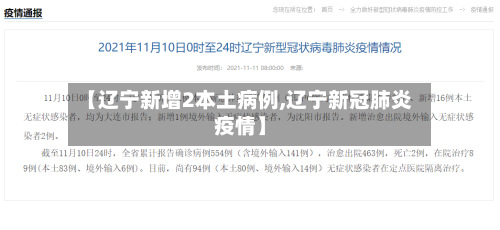 【辽宁新增2本土病例,辽宁新冠肺炎疫情】-第2张图片