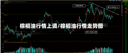 棕榈油行情上调/棕榈油行情走势图-第2张图片