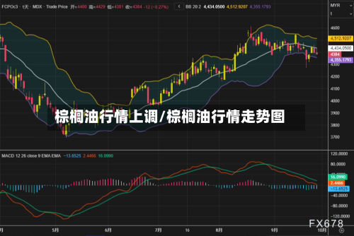 棕榈油行情上调/棕榈油行情走势图