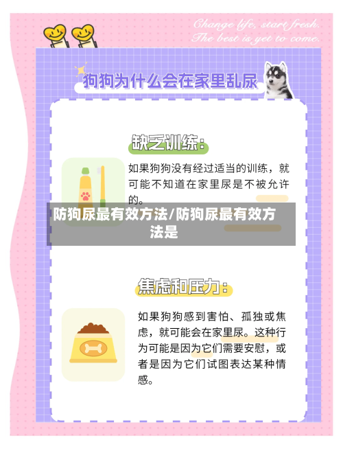 防狗尿最有效方法/防狗尿最有效方法是