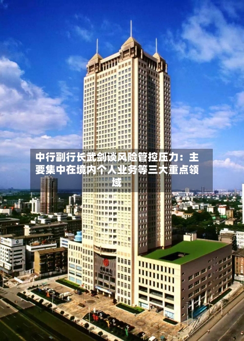 中行副行长武剑谈风险管控压力：主要集中在境内个人业务等三大重点领域-第3张图片