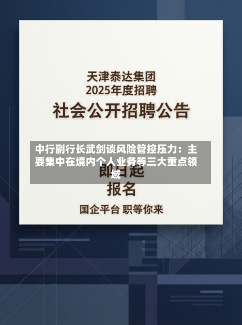 中行副行长武剑谈风险管控压力：主要集中在境内个人业务等三大重点领域-第2张图片
