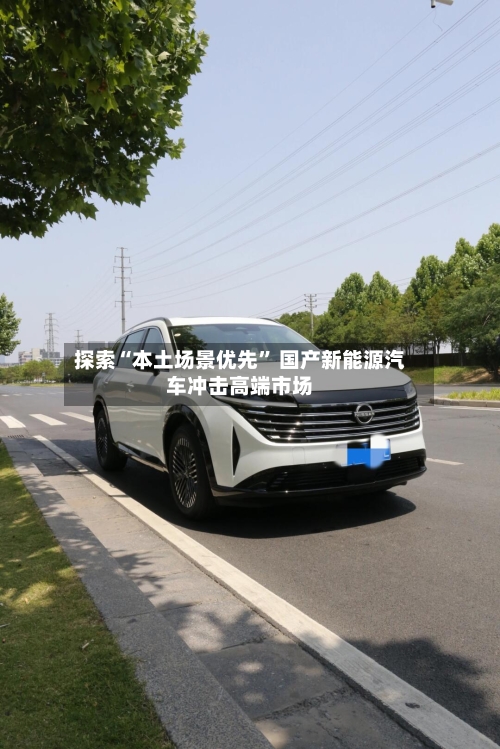 探索“本土场景优先” 国产新能源汽车冲击高端市场-第3张图片